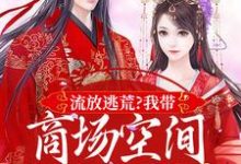 哪里能找到流放逃荒？我带商场空间活的舒服嘞小说的最新更新和免费章节？-侠客文学