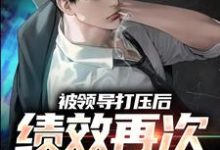 被领导打压后，绩效再次被清零！孙平安林若薇小说完结版章节在线阅读-侠客文学