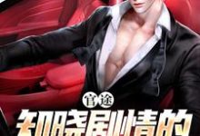 求推荐可以免费阅读官途：知晓剧情的我无敌了小说的网站-侠客文学