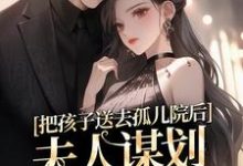 把孩子送去孤儿院后,夫人谋划总裁家产这本小说完结了吗?免费查看最新章节-侠客文学