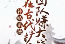 小说《补贴系统：我在古代扩展团队赚大钱》章节免费阅读-侠客文学