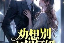 劝我别妄想复婚，总裁却后悔了这本小说怎么样？免费在线阅读试试-侠客文学