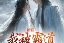 已完结小说《糟糕！我被霸道王爷缠上了》章节免费阅读-侠客文学