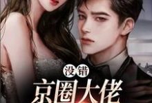 求没错,京圈大佬就是没她不行小说的全文免费阅读链接-侠客文学