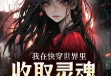 我在快穿世界里，收取灵魂当报酬（奚时）在线免费阅读-侠客文学