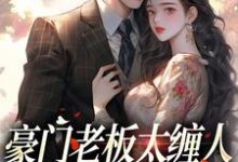 在线免费阅读豪门老板太缠人，为她折腰为她疯完整小说-侠客文学