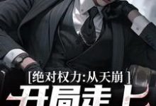 绝对权力：从天崩开局走上官途巅峰小说全文阅读需要付费吗？寻找免费资源-侠客文学