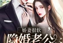 舒默江凌勋小说《娇妻很软：隐婚老公已沦陷》在线阅读-侠客文学