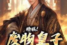 小说《糟糕！废物皇子他觉醒了》在线章节阅读-侠客文学