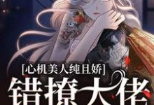 完结版《心机美人纯且娇，错撩大佬软了腰》章节阅读-侠客文学