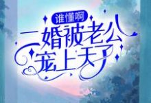 谁懂啊！二婚被老公宠上天了姜心柔沈峻川，谁懂啊！二婚被老公宠上天了章节在线阅读-侠客文学