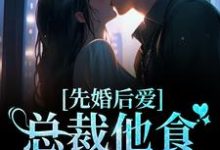先婚后爱：总裁他食髓知味了小说全文阅读需要付费吗？寻找免费资源-侠客文学