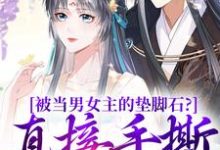 被当男女主的垫脚石?直接手撕剧本(云子娆墨苍澜)在线免费阅读-侠客文学