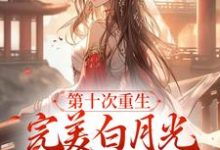 免费看第十次重生，完美白月光她装傻摆烂小说的网站有哪些？-侠客文学