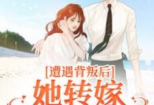 遭遇背叛后，她转嫁大佬赢麻了免费阅读，遭遇背叛后，她转嫁大佬赢麻了章节在线阅读-侠客文学