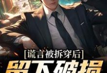 谎言被拆穿后，留下破损的婚姻最新章节，谎言被拆穿后，留下破损的婚姻免费阅读-侠客文学