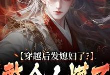萧辰小说叫什么(穿越后发媳妇了?整个人懵了免费阅读)-侠客文学