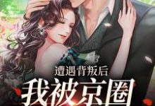 遭遇背叛后，我被京圈大佬捡回家免费阅读，遭遇背叛后，我被京圈大佬捡回家章节目录-侠客文学