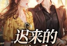 迟来的心动李彧安林梵音小说完结版章节在线阅读-侠客文学