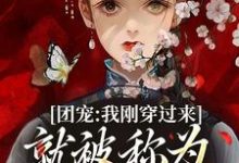 小说《团宠：我刚穿过来就被称为九天神女》在线章节阅读-侠客文学