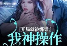 开局就被绑架，我神操作自救成功小说全文阅读需要付费吗？寻找免费资源-侠客文学