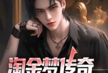 哪里能找到淘金梦传奇，从失业开始小说的最新更新和免费章节？-侠客文学