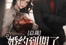 姜涵宁秦耀小说叫什么(总裁,婚约到期了,麻烦请放手免费阅读)-侠客文学