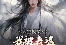 白棋小说在线章节免费阅读（人生模拟器：我被老婆逼成世间极境无弹窗无删减）-侠客文学