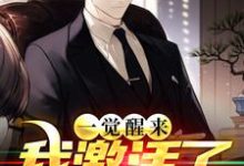 陈昊宇苏雨瑶小说一觉醒来,我激活了祝由术在线阅读章节-侠客文学