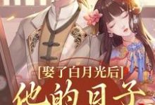 《娶了白月光后,他的日子鸡飞狗跳》小说大结局免费试读 盛栖月萧玉衡小说-侠客文学