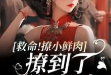 已完结小说《救命！撩小鲜肉撩到了顶级权贵！》在线章节阅读-侠客文学