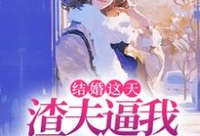 小说《结婚这天,渣夫逼我让出工作给青梅》在线章节阅读-侠客文学