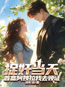 小说《捉奸当天，首富阿姨拉我去领证》在线章节阅读