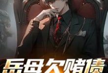 在线寻找岳母欠赌债要被砍手？跟我没关系哈小说的无删减版本-侠客文学