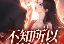 不知所以的沦陷（林姜霍从周）在线免费阅读-侠客文学