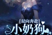 双向奔赴，小奶狗他超心机姜以宁贺驰小说免费阅读-侠客文学