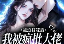 谢冬吟宁怀听小说完结版在线阅读,被迫替嫁后,我被疯批大佬宠上瘾免费看-侠客文学