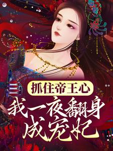 抓住帝王心，我一夜翻身成宠妃小说，抓住帝王心，我一夜翻身成宠妃在线阅读