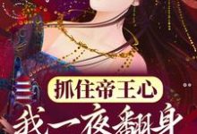 已完结小说《抓住帝王心，我一夜翻身成宠妃》章节在线阅读-侠客文学