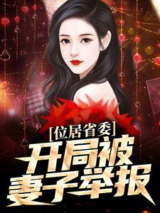 位居省委，开局被妻子举报小说的无弹窗阅读体验，寻找免费阅读网站