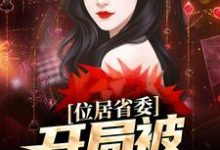 已完结小说《位居省委,开局被妻子举报》章节免费阅读-侠客文学