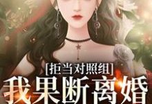 已完结小说《拒当对照组,我果断离婚逃离渣夫》在线章节阅读-侠客文学