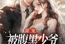 沈初棠时承煜小说甜宠：被腹黑少爷藏起来的娇宝在线阅读-侠客文学