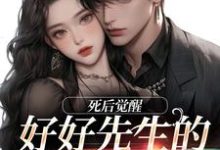 《好好先生的真实面目》小说章节在线试读，《好好先生的真实面目》最新章节目录-侠客文学