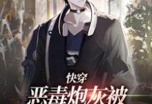 时言小说在线章节免费阅读（快穿：恶毒炮灰被疯批们强制爱了无弹窗无删减）-侠客文学