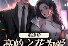 重逢后，高岭之花为爱变身追妻狂魔小说有没有完整的免费版本在线阅读？-侠客文学