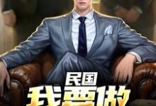 已完结小说《民国：我要做乱世枭雄》章节在线阅读-侠客文学