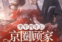 坐牢四年后，京圈顾家跪求我原谅小说，坐牢四年后，京圈顾家跪求我原谅免费阅读-侠客文学