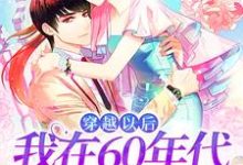 小说《穿越以后，我在60年代当万人迷》在线章节阅读-侠客文学