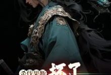 杀伐果断:坏了,穿越成反派了!免费阅读,杀伐果断:坏了,穿越成反派了!章节目录-侠客文学